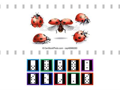 Számolás 10-es számkörben (rovarok, bogarak)