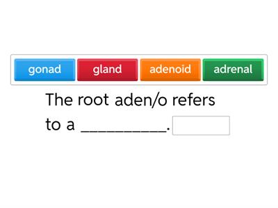 Ch. 9 Med Term Practice 