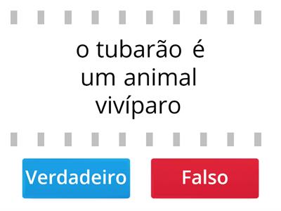 animais 