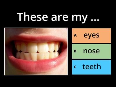 Human Body Parts - Choose the Correct Answer