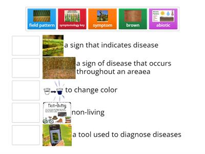 Diagnosing crop problems