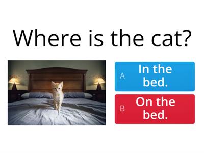 Prepositions of place in and on