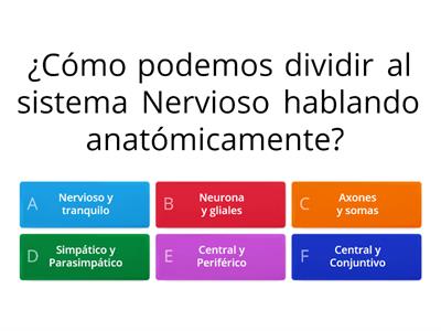 Test Sistema Nervioso Carlos Eduardo Corona Rodríguez