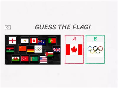 guess 100 flags