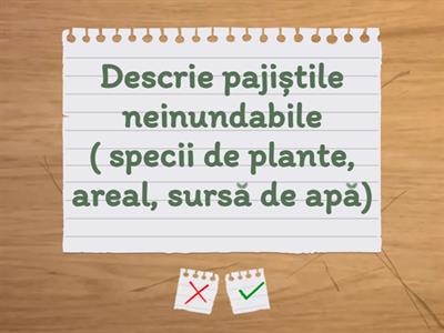 Tipurile de vegetaţie: clasificare, caracterizarea tipurilor principale, importanța.