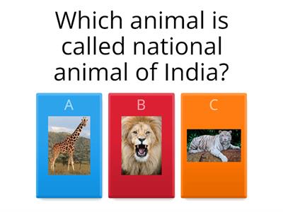 Give answers to few questions related to Animlas.