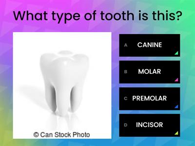 Teeth Quiz by Maxikaz Games