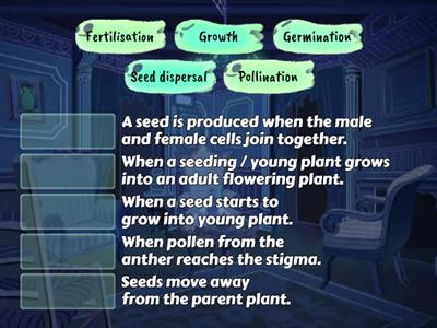 Functions - Life cycle of a flowering plant