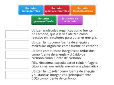 Bacterias según su nutrición