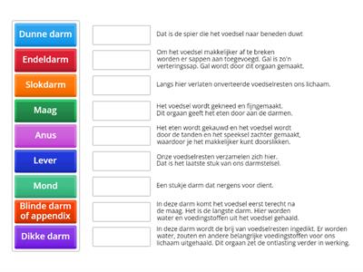 Spijsvertering - WO activiteit 3 (over mijn lijf) 