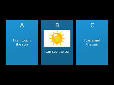 Senses quiz