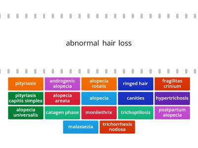 Cosmetology Chapter 11 - Vocab 3