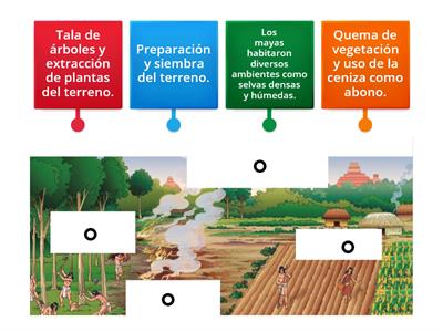 Sistema de tala y roza maya