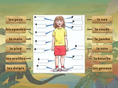 les parties du corps