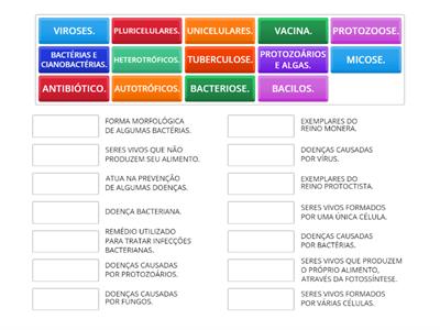 VÍRUS, BACTÉRIAS, PROTISTAS E FUNGI.