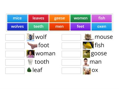 plural nouns 