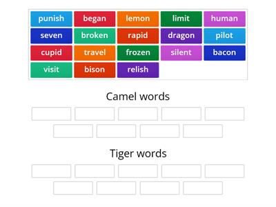 camel and tiger words