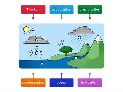  Water Cycle- Label Illustration