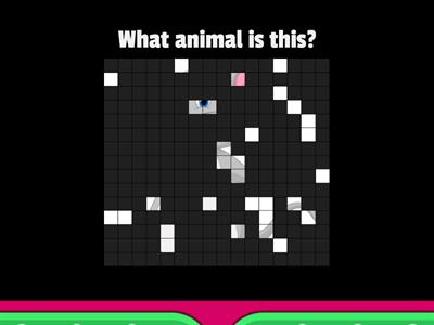 Animals - image quiz