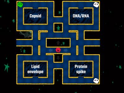 Quiz - 7. What are viruses and what is COVID-19?