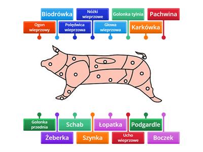 Tusza wieprzowa - ćwiczenie