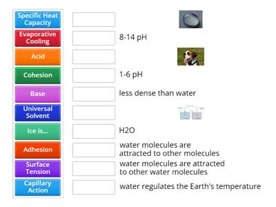 1.1 Properties of Water and Hydrogen Bonding
