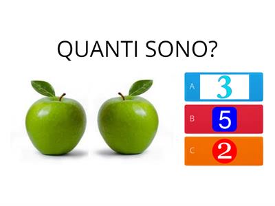 Quantità /Numero