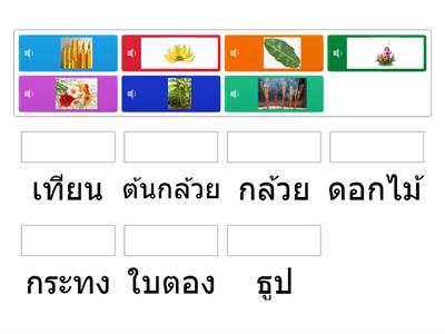 วันลอยกระทง (มีเสียงอ่าน)