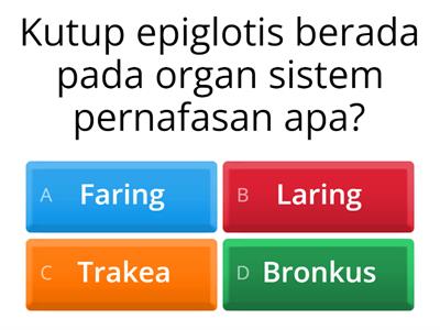 Soal kuis sistem pernafasan pada manusia