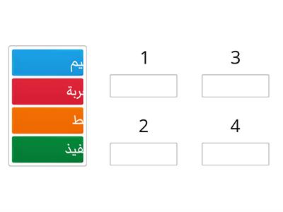 مراحل إنشاء موقع الويب