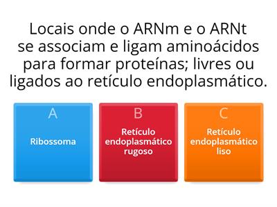 Ribossomas and Retículo Endoplasmático