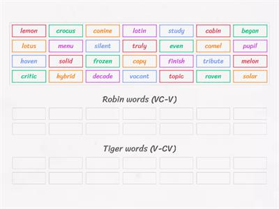 Syllable sorting (Ti-ger vs Rob-in)