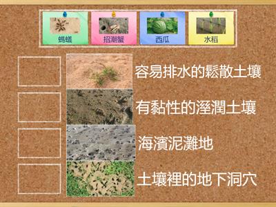 CH1活動1生物適合的生存環境