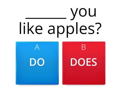 PRESENT SIMPLE: do/does questions