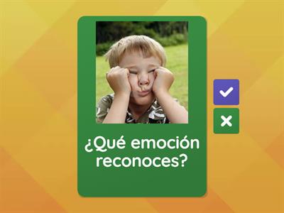 Reconozcamos la emoción 