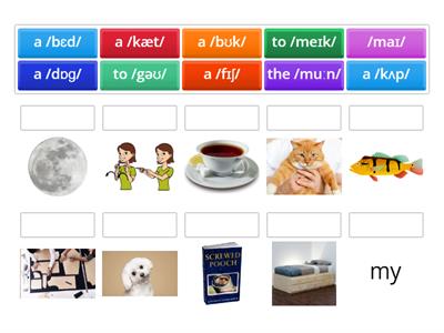 A1. Single-Syllable Words by Vowel Sounds: mixed vowels quiz