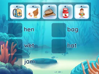 Five vocabularies of Three letter phonic words: hat, bag, hen, wet, jam