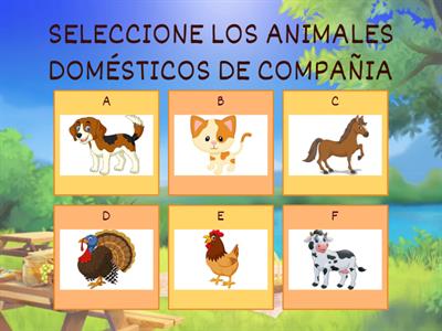 TIPOS DE ANIMALES DOMÉSTICOS 