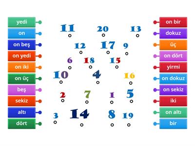 Sayılar - labelled diagram class