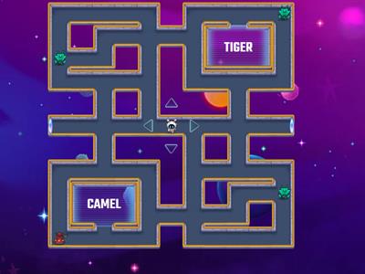 Camel/Tiger Maze Chase