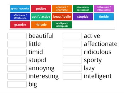 FRENCH adjectives