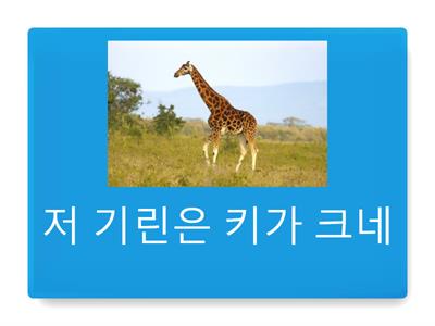 Zoo animals - is 형용사