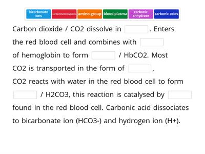 Describe how carbon dioxide is transported in the blood.