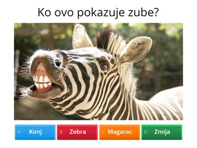 Životinje: kviz