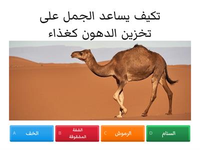 مسابقة العلوم 