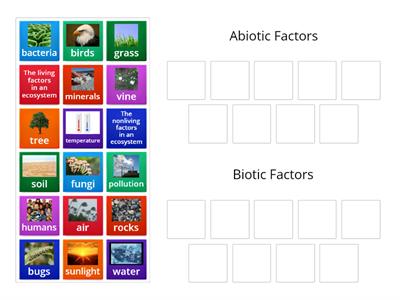 Abiotic vs Biotic Factors Sort