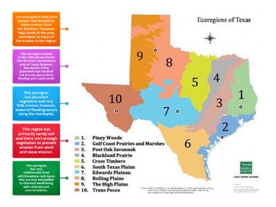 Texas Ecoregions & WED