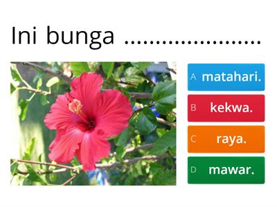 Kuiz Bunga Raya