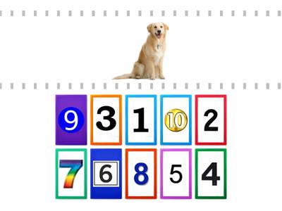 Counting Animals - Up to 10