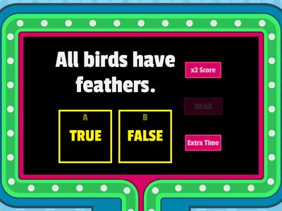 Birds True or False